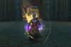 lineage-2-special-project-95-level-eva2-svinkapepp.png
